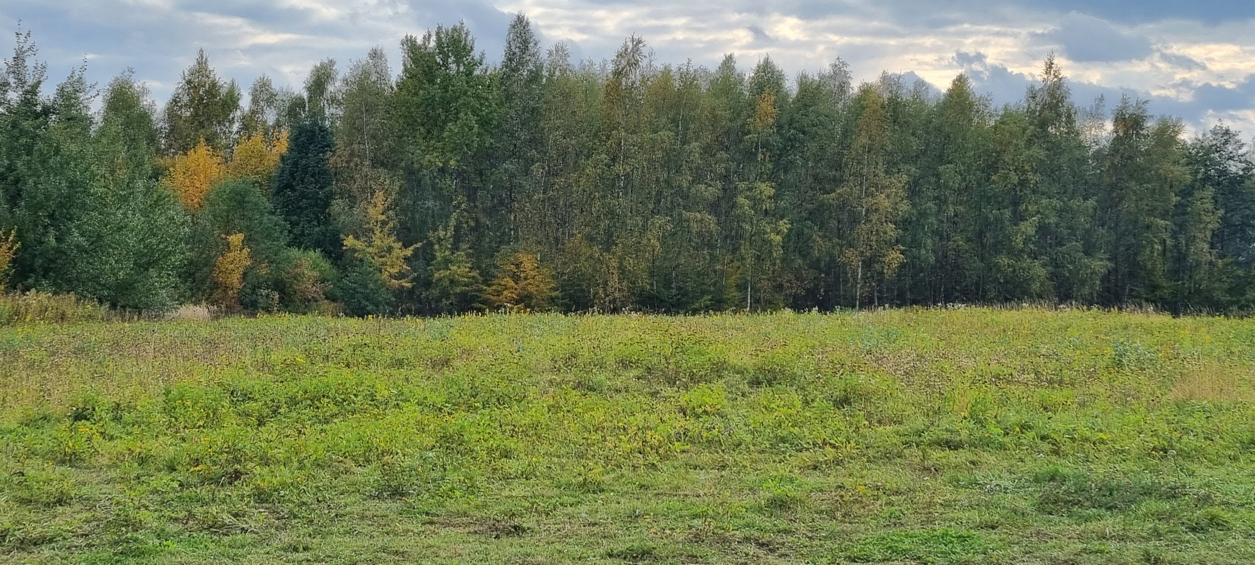 Atrakcyjna działka widokowa  z warunkami zabudowy - zdjęcie 1