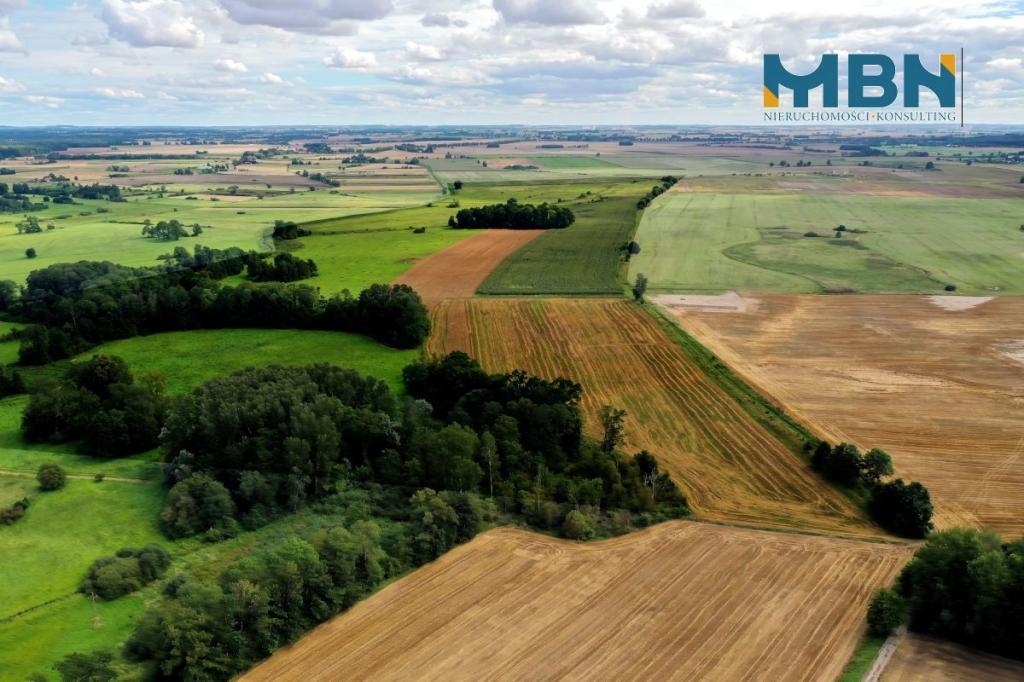 Działka rolna 75,07 ha, Barciany - zdjęcie 4