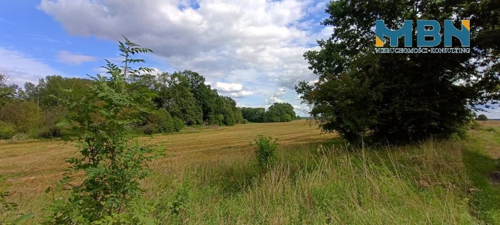 Działka rolna 75,07 ha, Barciany - zdjęcie 10