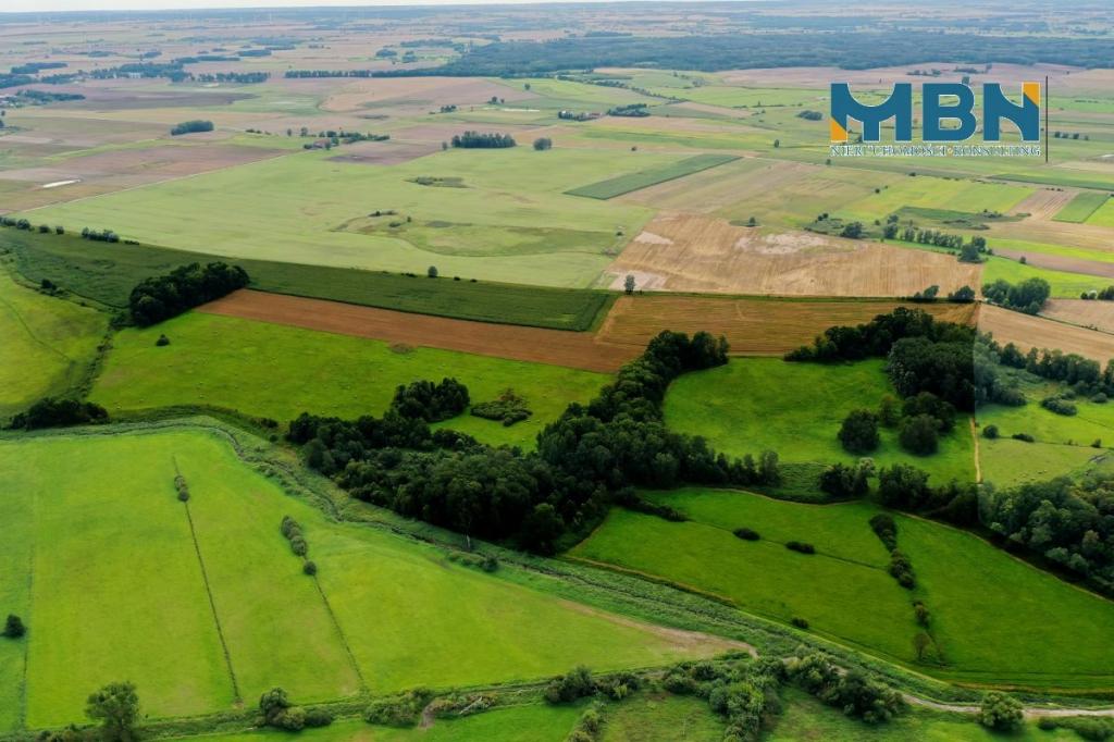 Działka rolna 75,07 ha, Barciany - zdjęcie 5