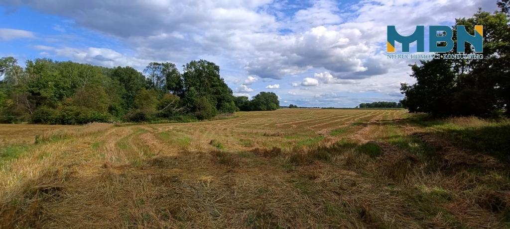 Działka rolna 75,07 ha, Barciany - zdjęcie 9