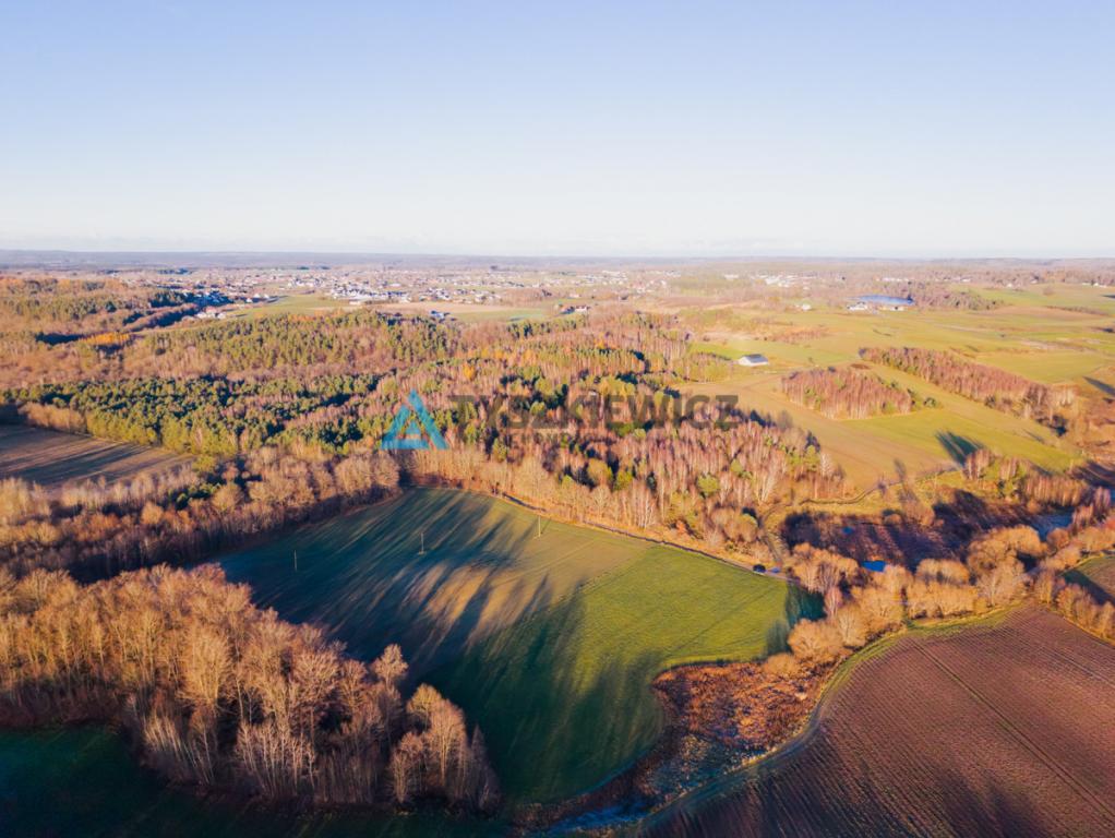 Ustarbowo • Duża działka 2814 m² • Przy drodze - zdjęcie 4