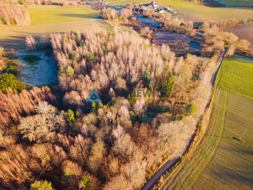 Ustarbowo • Duża działka 2814 m² • Przy drodze - zdjęcie 2