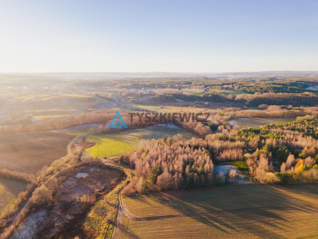 Ustarbowo • Duża działka 2814 m² • Przy drodze - zdjęcie 5