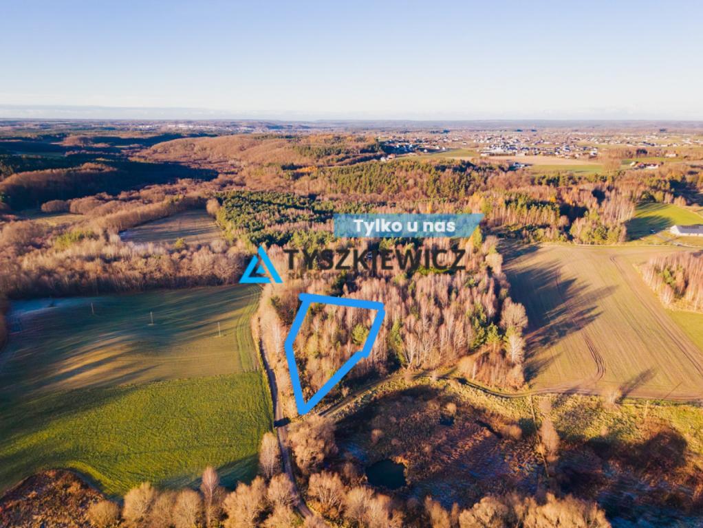 Ustarbowo • Duża działka 2814 m² • Przy drodze - zdjęcie 1