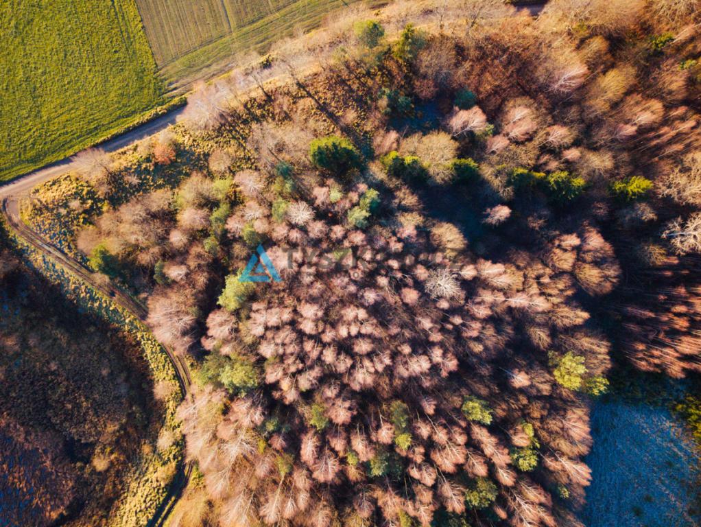Ustarbowo • Duża działka 2814 m² • Przy drodze - zdjęcie 3
