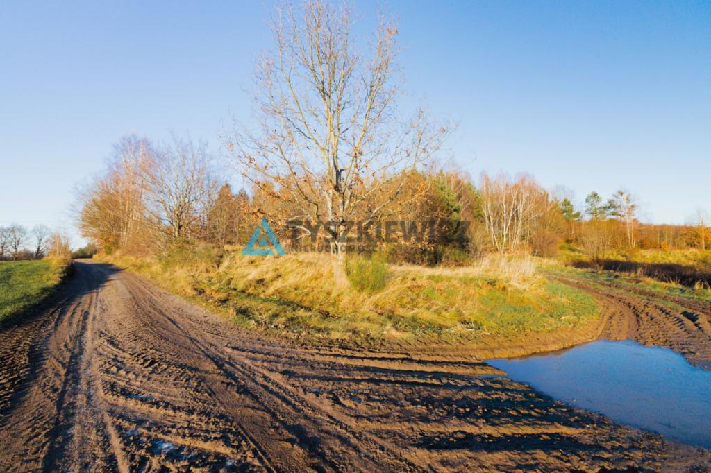 Ustarbowo • Duża działka 2814 m² • Przy drodze - zdjęcie 7