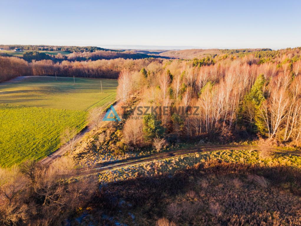 Ustarbowo • Duża działka 2814 m² • Przy drodze - zdjęcie 6