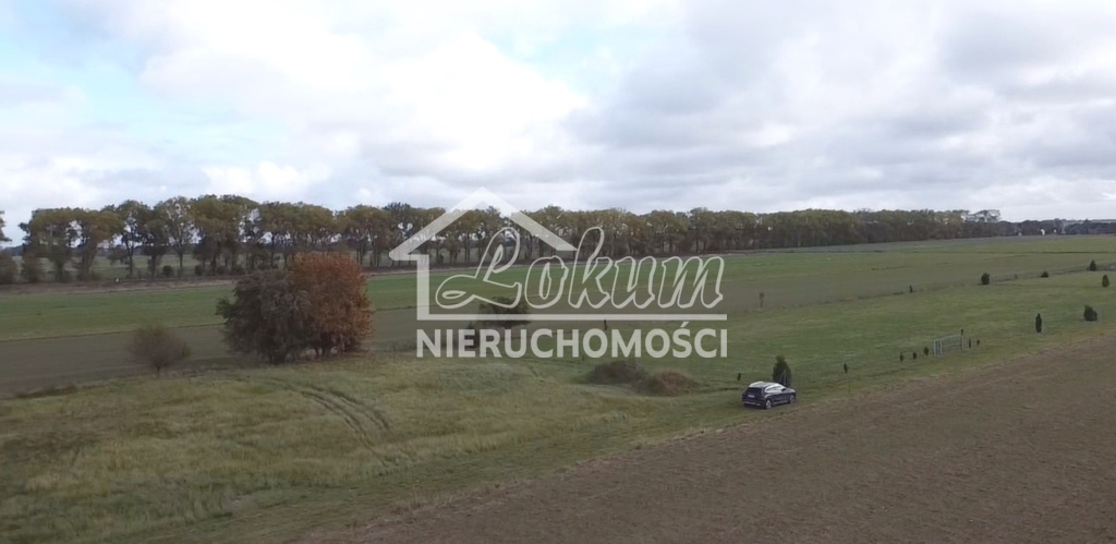 Działka budowlana 3000&nbsp;m², Chrząstowo - zdjęcie 3