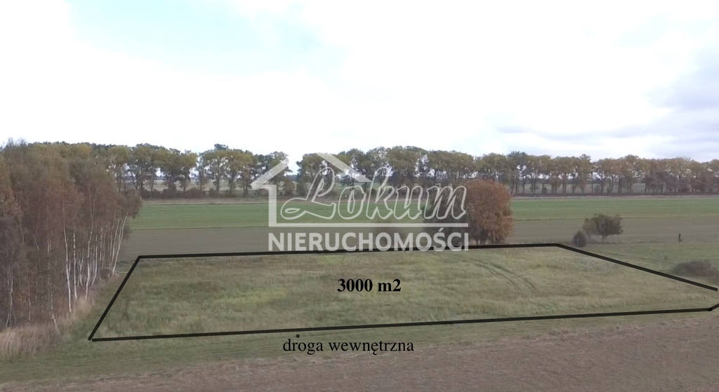 Działka budowlana 3000&nbsp;m², Chrząstowo - zdjęcie 2
