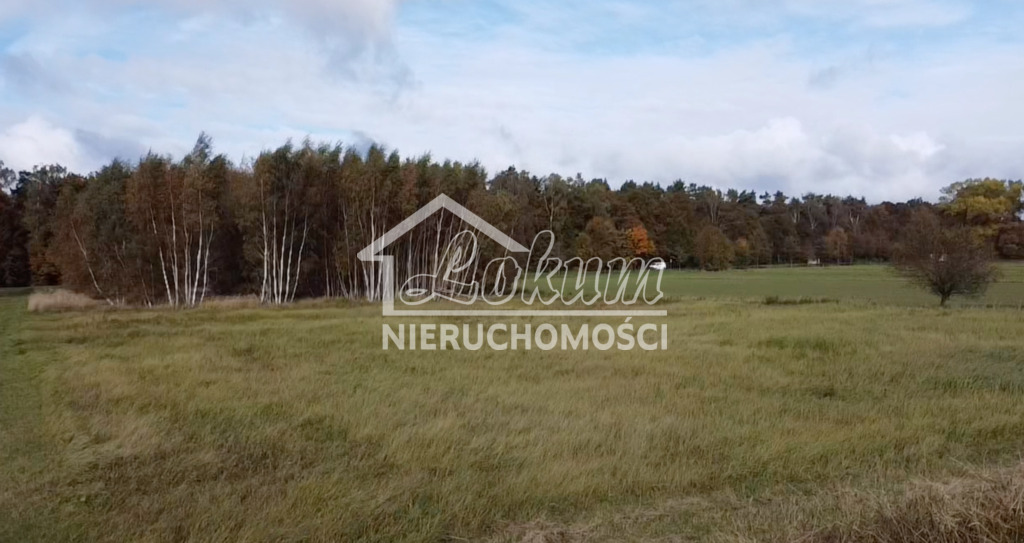 Działka budowlana 3000&nbsp;m², Chrząstowo - zdjęcie 1