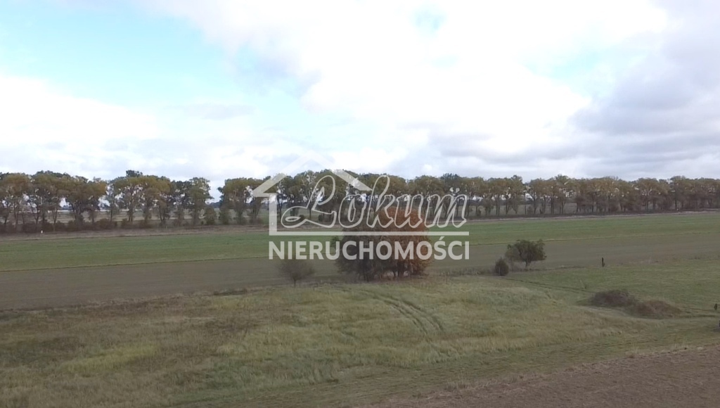 Działka budowlana 3000&nbsp;m², Chrząstowo - zdjęcie 4