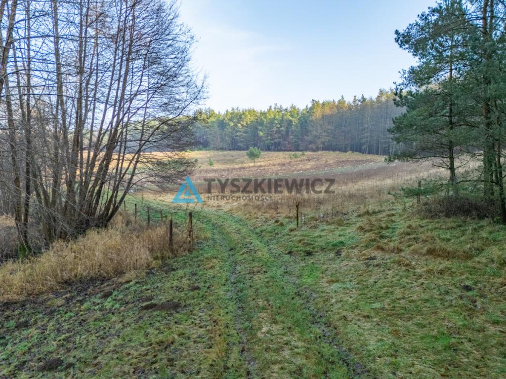 Wyjątkowa działka w sercu Kaszub - zdjęcie 29