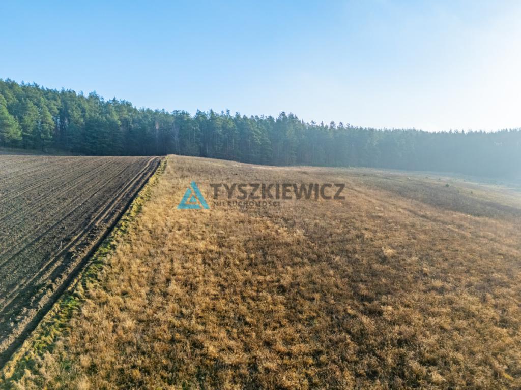Wyjątkowa działka w sercu Kaszub - zdjęcie 26