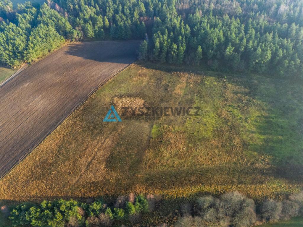 Wyjątkowa działka w sercu Kaszub - zdjęcie 12