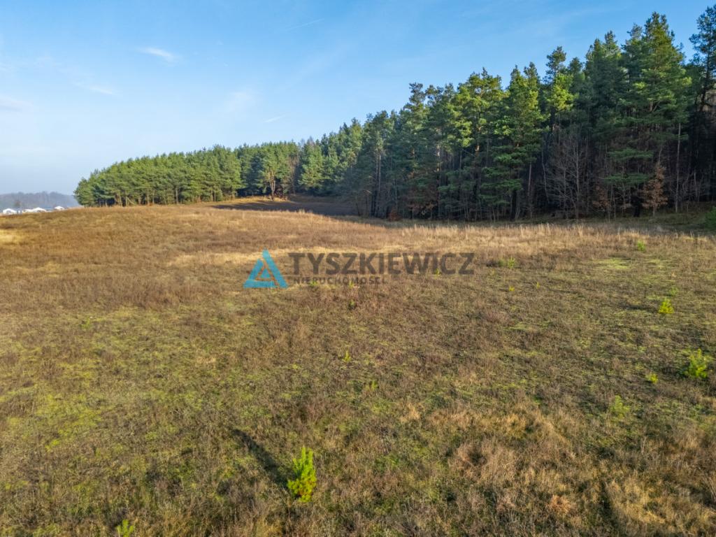 Wyjątkowa działka w sercu Kaszub - zdjęcie 25