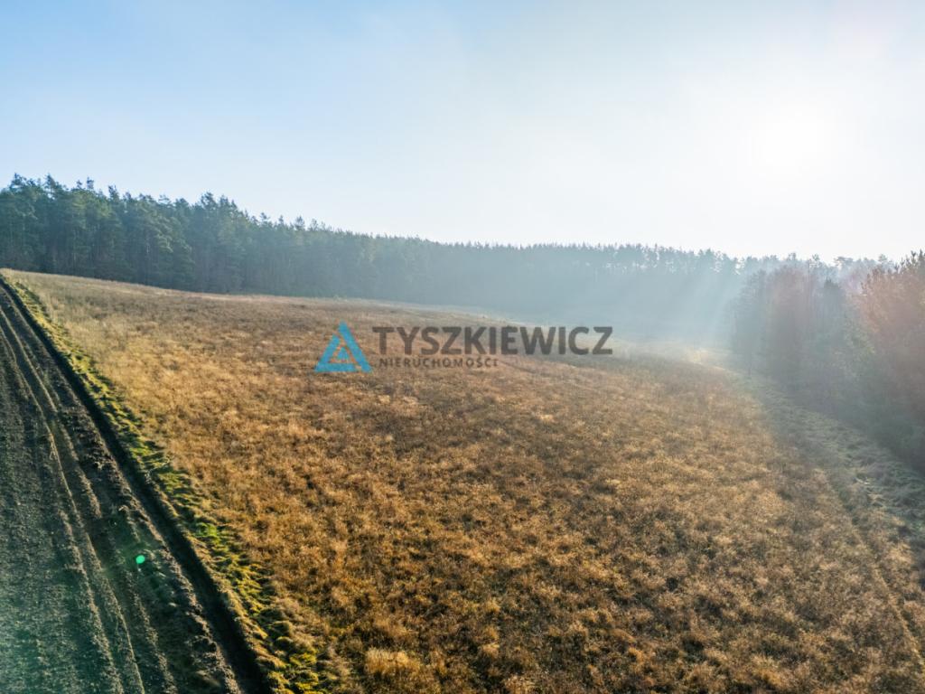 Wyjątkowa działka w sercu Kaszub - zdjęcie 23