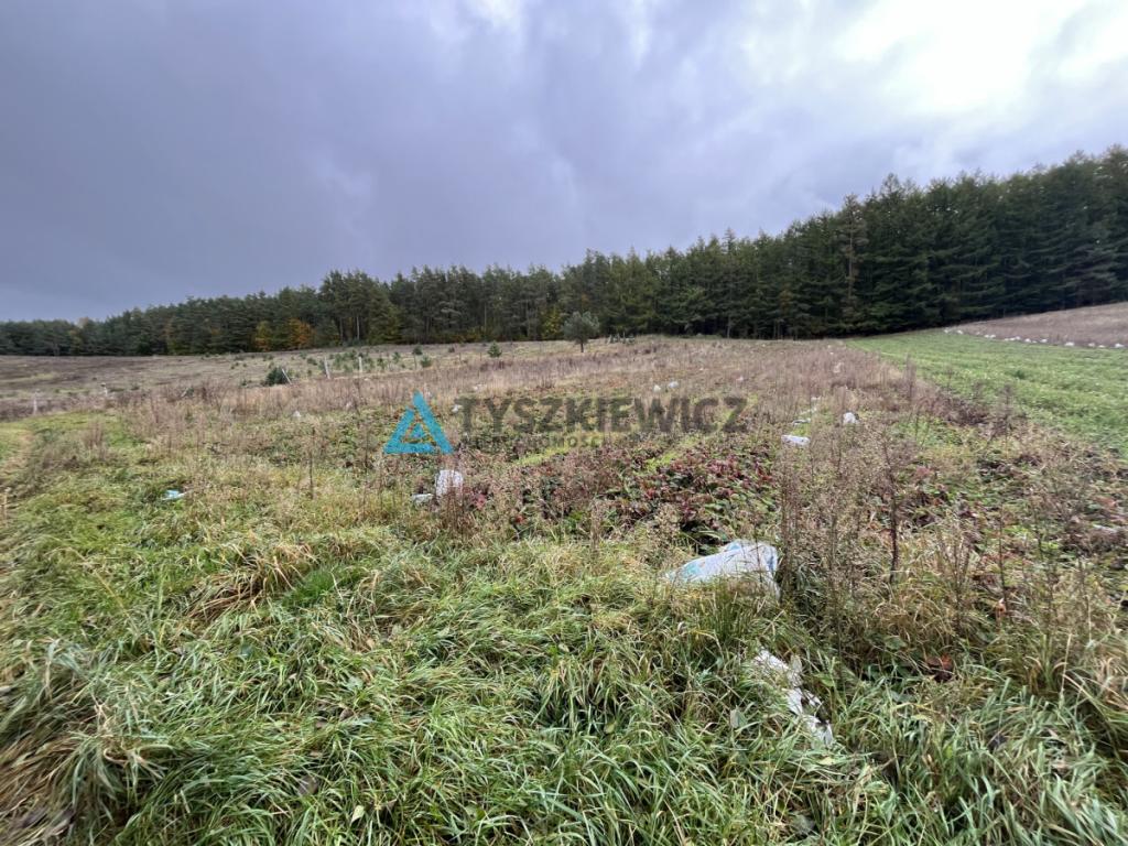 Wyjątkowa działka w sercu Kaszub - zdjęcie 20