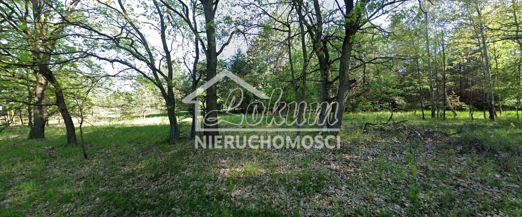 Działka budowlana 1004&nbsp;m², Ostrowiec - zdjęcie 3