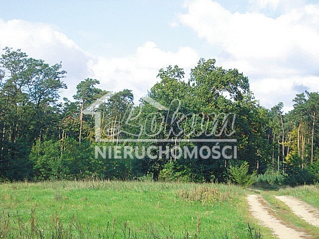 Działka rolna 1535&nbsp;m², Kościno - zdjęcie 4