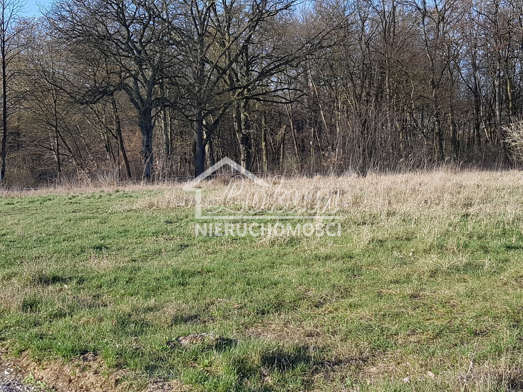 Działka rolna 1535&nbsp;m², Kościno - zdjęcie 10