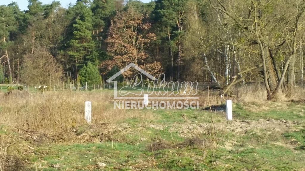 Działka rolna 1535&nbsp;m², Kościno - zdjęcie 6