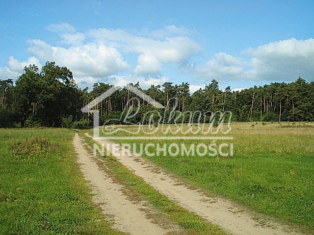 Działka rolna 1535&nbsp;m², Kościno - zdjęcie 3