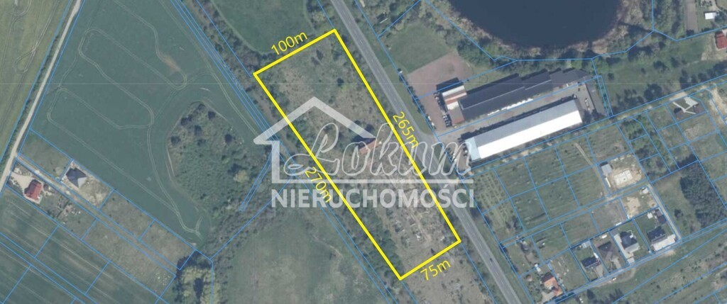 Działka inwestycyjna 2,34 ha, Lipiany - zdjęcie 12