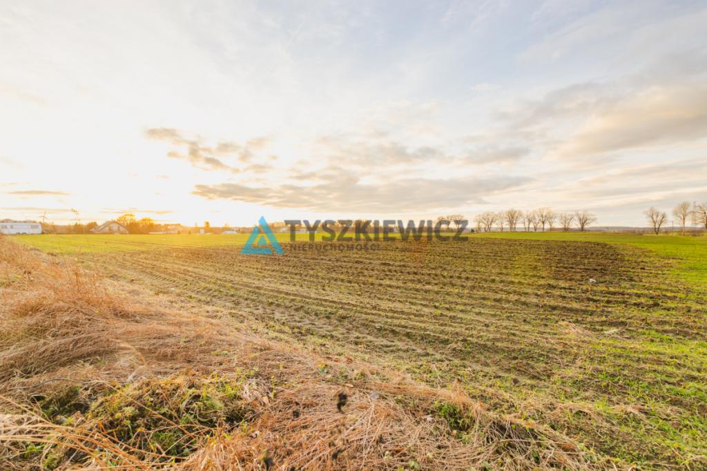 Działka siedliskowo - polecam! - zdjęcie 14