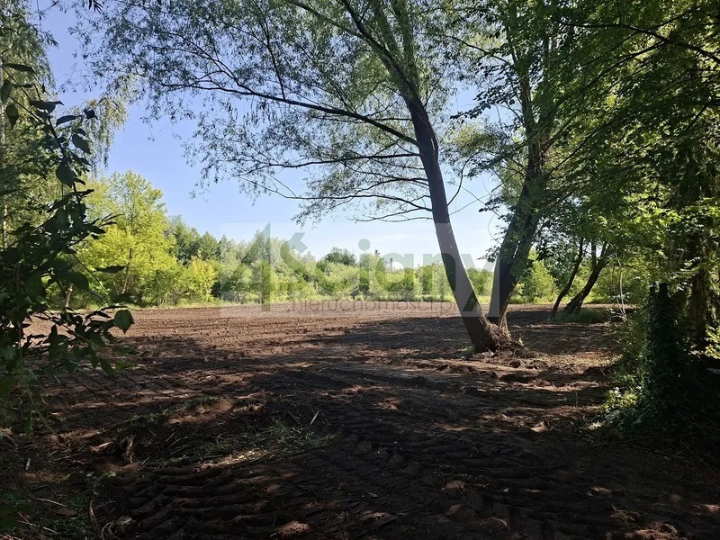 Działka budowlana 1000 m², Brwinów - zdjęcie 2