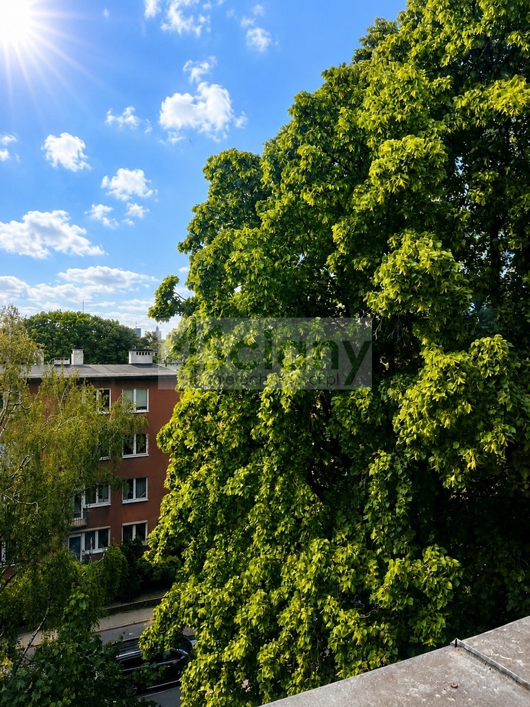 Mieszkanie 50&nbsp;m², Warszawa, Wiktorska - zdjęcie 12