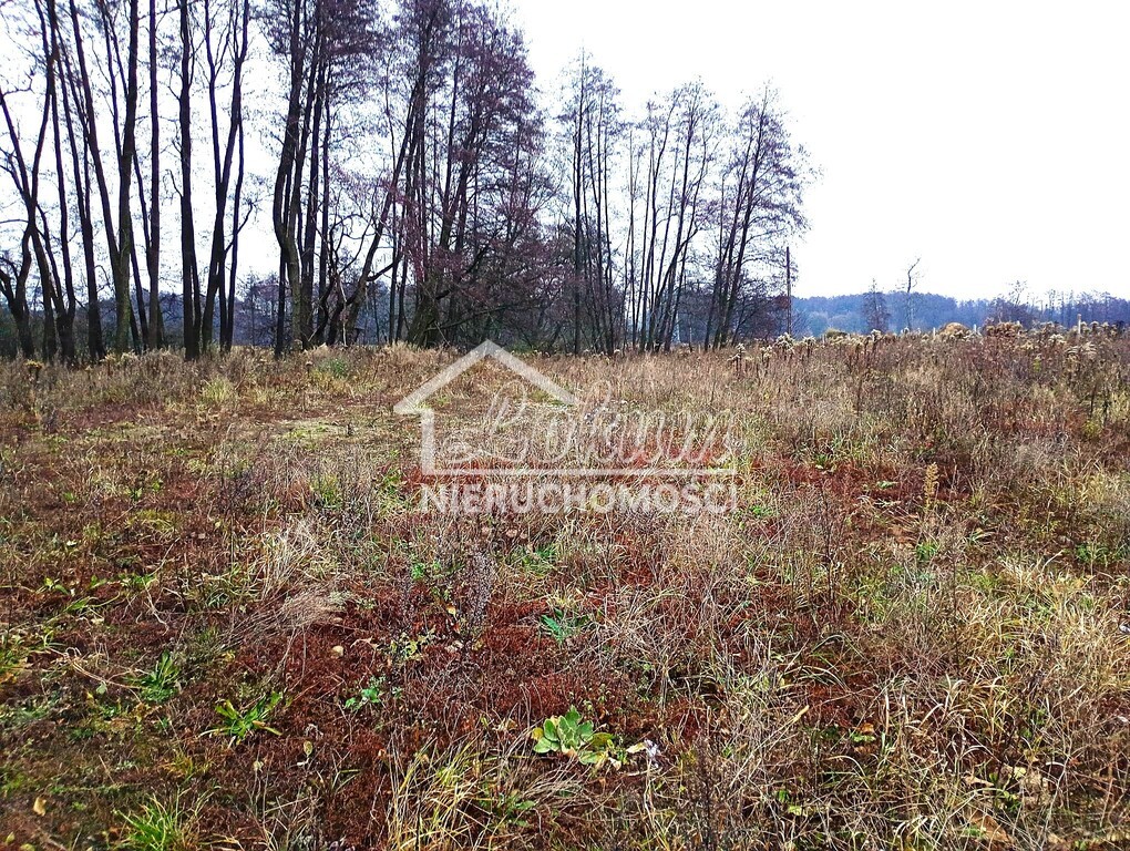 Działka budowlana 1200&nbsp;m², Stargard - zdjęcie 4