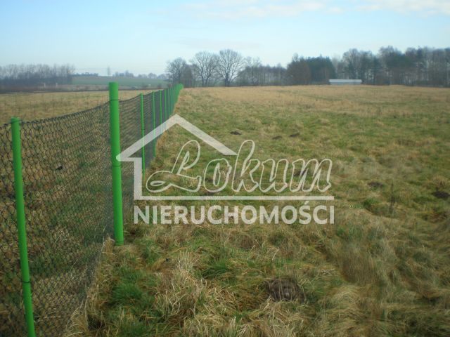 Działka budowlana 2,73&nbsp;ha, Brzozowo - zdjęcie 2