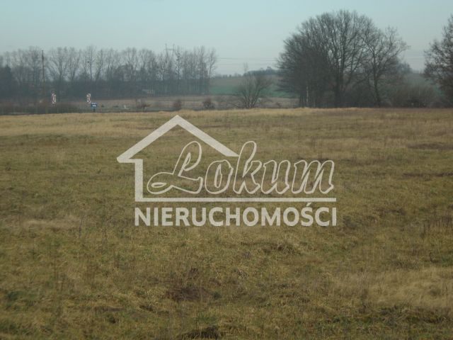 Działka budowlana 2,73&nbsp;ha, Brzozowo - zdjęcie 6