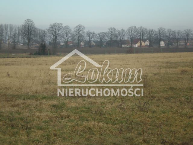 Działka budowlana 2,73&nbsp;ha, Brzozowo - zdjęcie 5