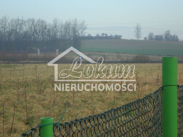 Działka budowlana 2,73&nbsp;ha, Brzozowo - zdjęcie 3