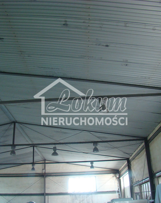 Magazyn do wynajęcia, 500&nbsp;m², Mierzyn - zdjęcie 3