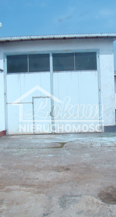 Magazyn do wynajęcia, 500&nbsp;m², Mierzyn - zdjęcie 9