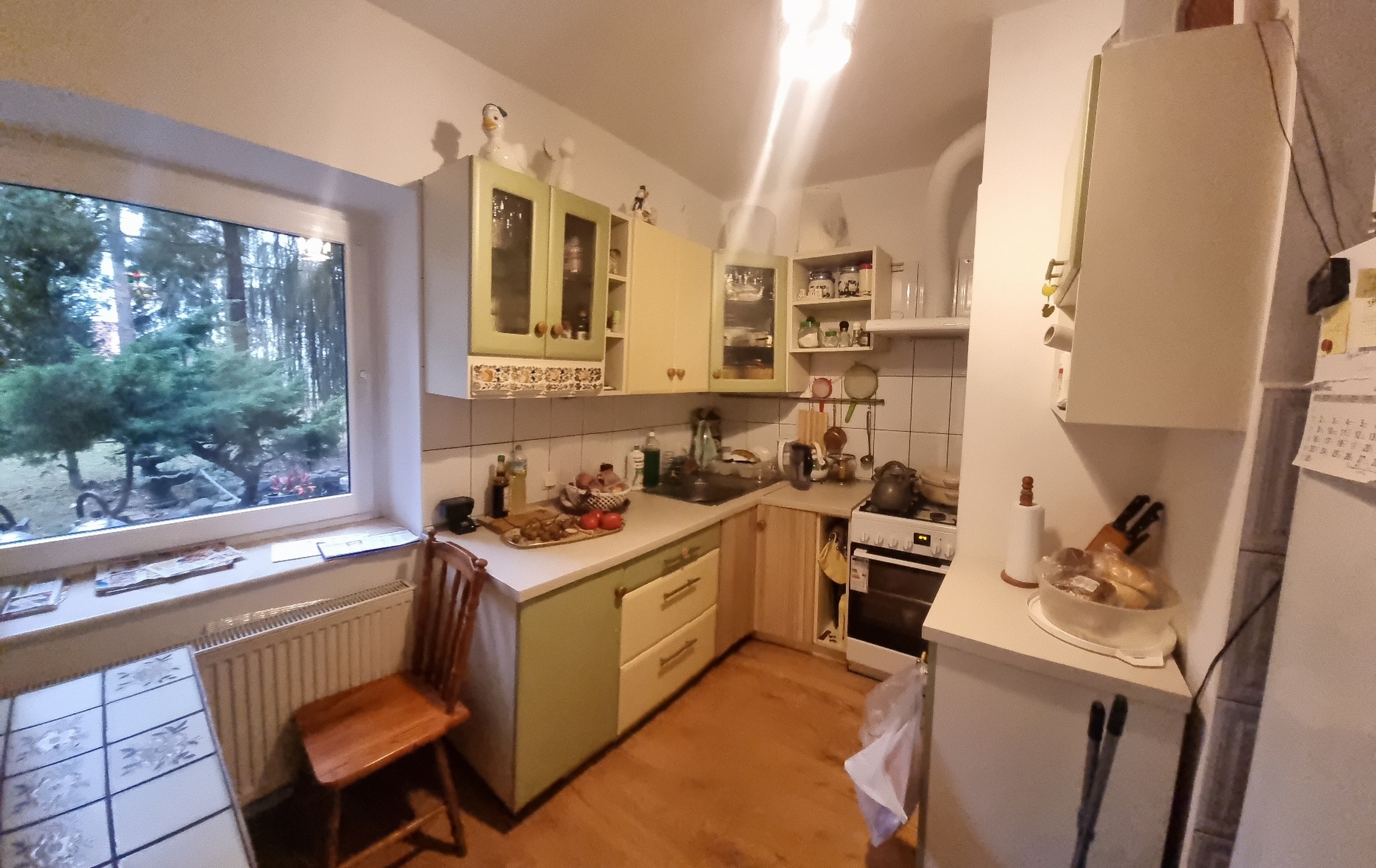 Dom wolnostojący z garażem i dużym ogrodem - zdjęcie 1
