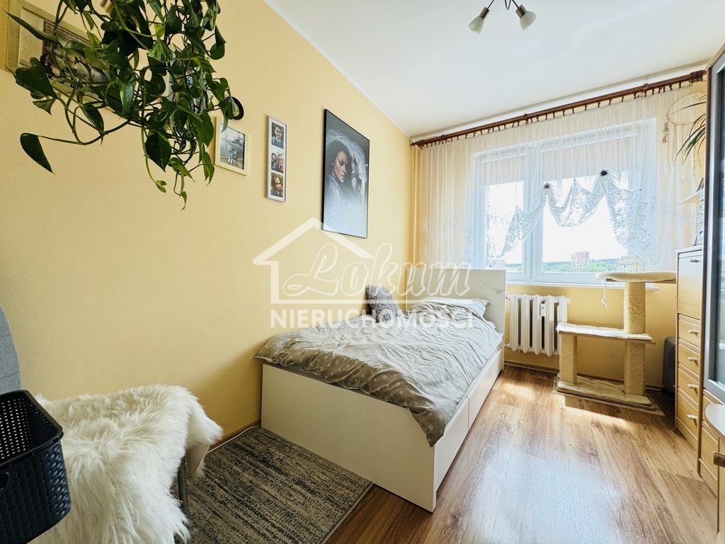 Mieszkanie 49,2&nbsp;m², Szczecin, Majowe, Witolda Gombrowicza - zdjęcie 3