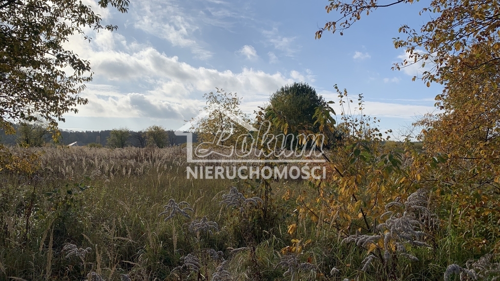 Działka rolna 2006&nbsp;m², Żdżary - zdjęcie 6