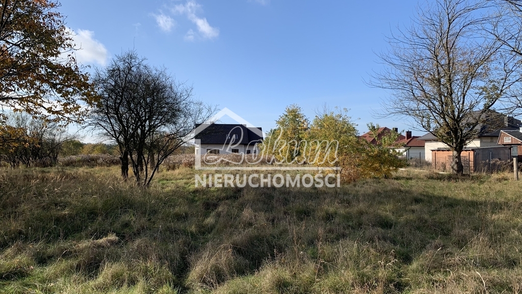 Działka rolna 2006&nbsp;m², Żdżary - zdjęcie 2