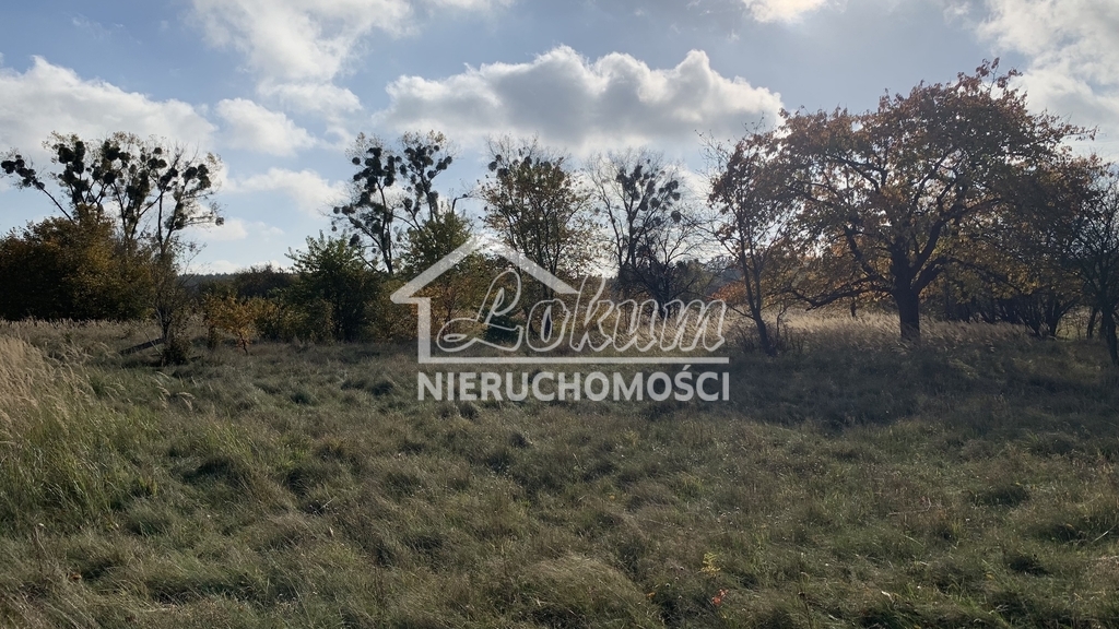 Działka rolna 2006&nbsp;m², Żdżary - zdjęcie 3