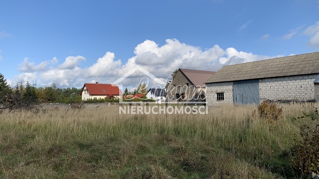 Działka rolna 2006&nbsp;m², Żdżary - zdjęcie 5