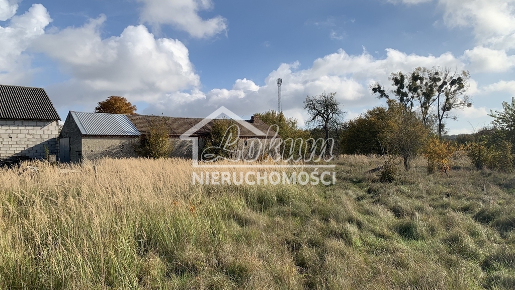 Działka rolna 2006&nbsp;m², Żdżary - zdjęcie 4