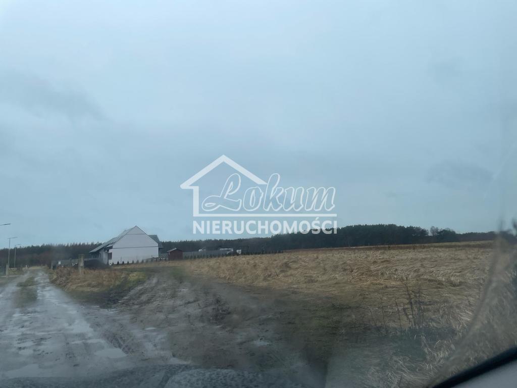 Działka budowlana 1000&nbsp;m², Białuń - zdjęcie 6