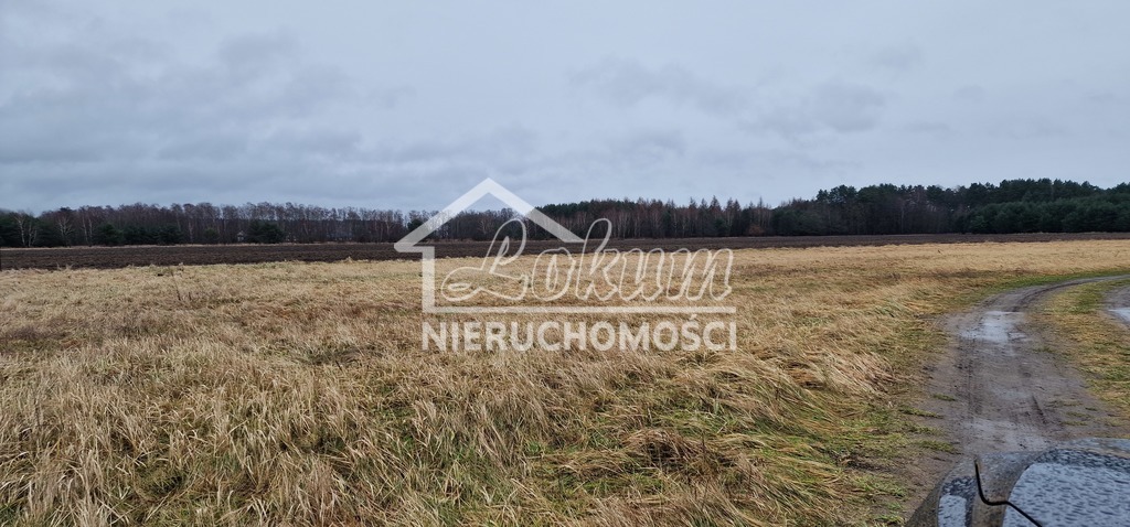 Działka budowlana 1000&nbsp;m², Białuń - zdjęcie 1