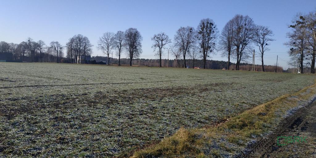 Działka inwestycyjna 8,30&nbsp;ha, Suszec, Szkolna i Woszczycka - zdjęcie 4