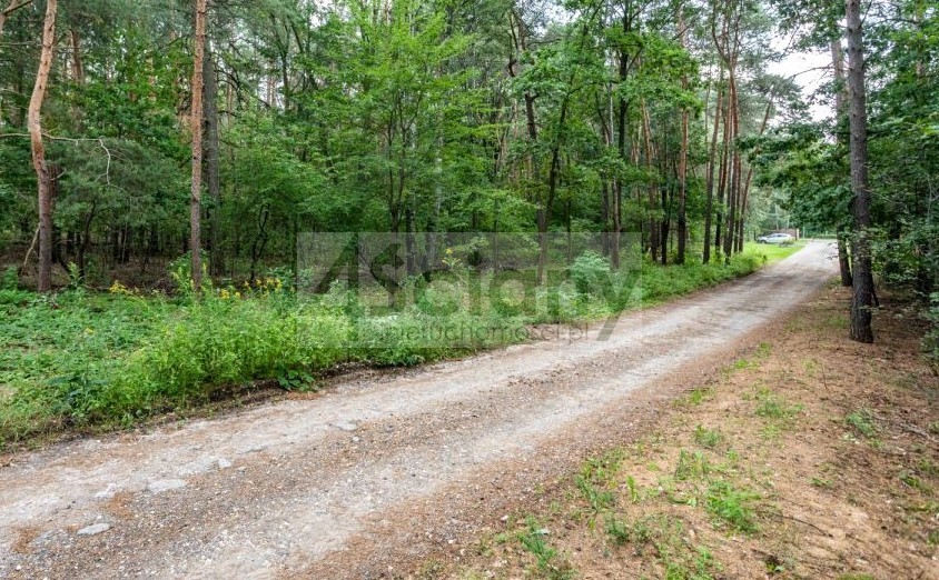 Działka budowlana 2100 m², Sękocin-Las - zdjęcie 1