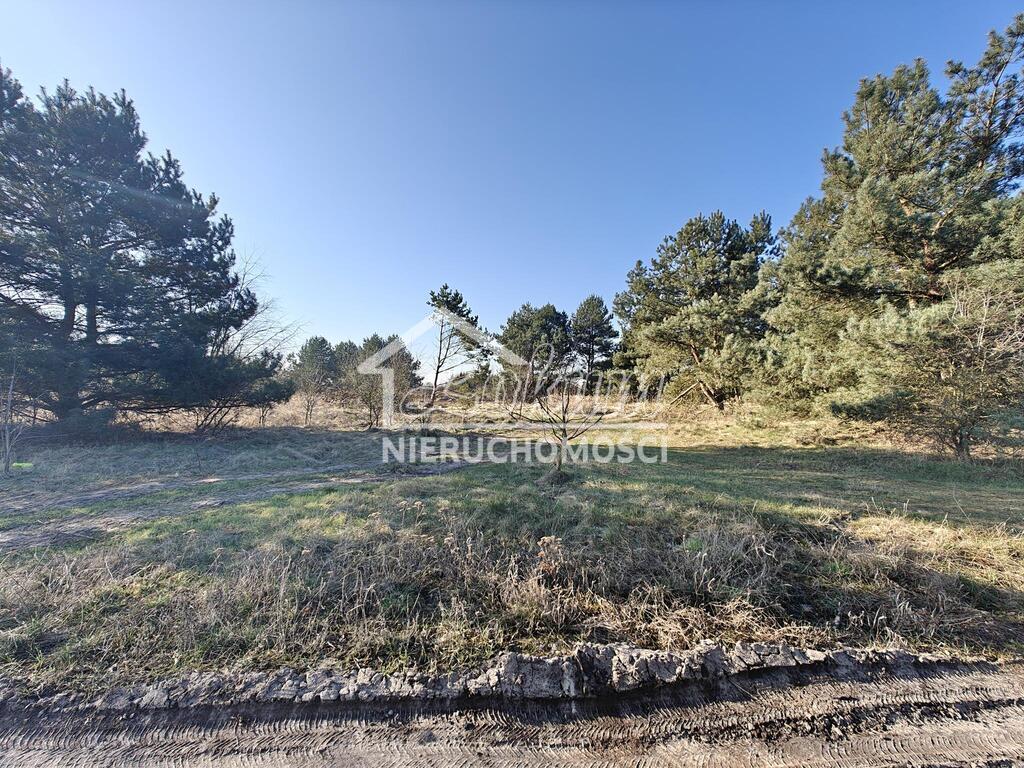 Działka budowlana 1,66&nbsp;ha, Miłowo - zdjęcie 11